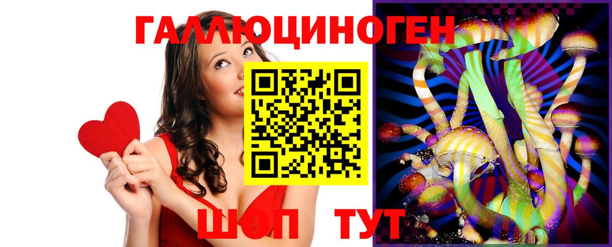 Галлюциногенные грибы Psilocybine cubensis Кыштым