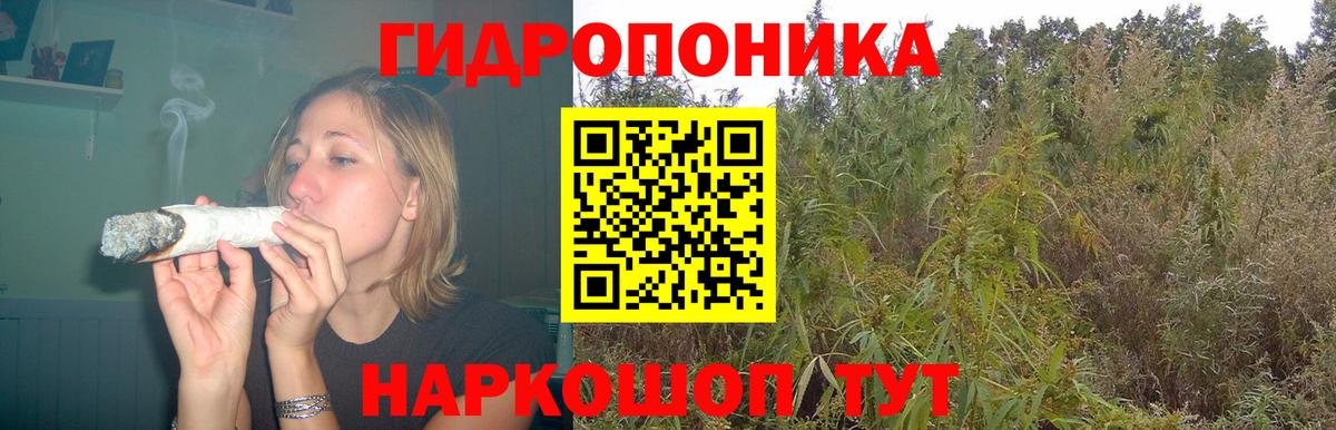 Каннабис MAZAR  Бошки марихуана LSD WEED  Кыштым  Бошки Шишки THC 21%  Вход с VPN 